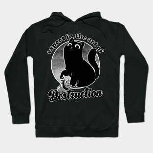 Expert in Destruction - Cute Black Cat Hoodie